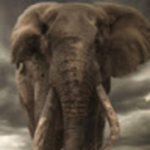 Meet your Posher, Vincent - Picture 1 of 1